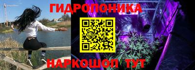 твердый Севастополь