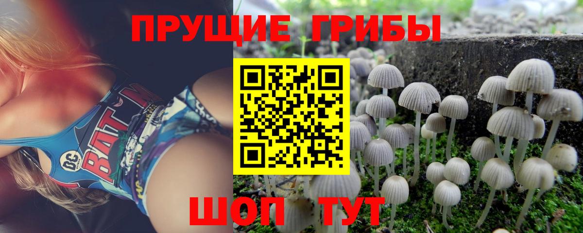 Протвино  Галлюциногенные грибы мицелий  Вход с VPN 